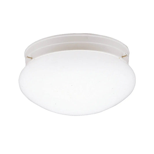 Flush Mount 1Lt