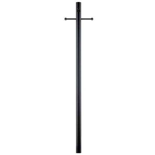 Post w/Ext Photocell & Ladder