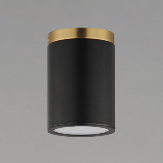 Dapper 1-Light Flush Mount