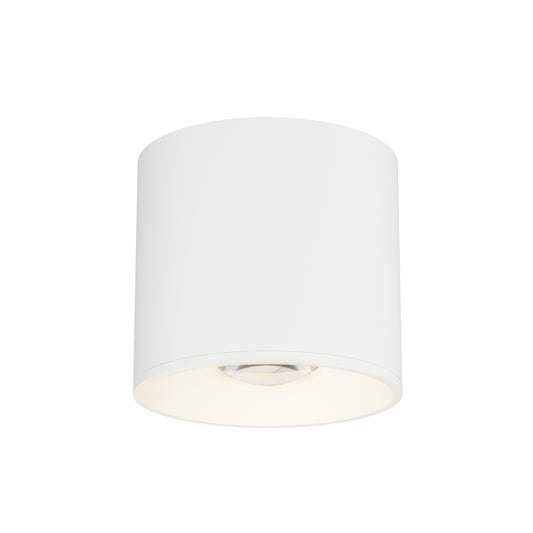 Stout RD 120-277V Indoor/Outdoor Flush Mount
