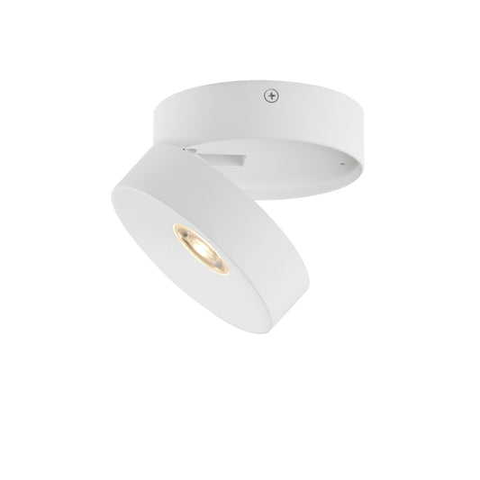 Swinger Adjustable LED Flush Mount