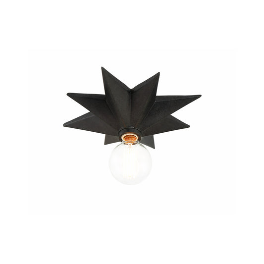 Astro 12'' Flush Mount