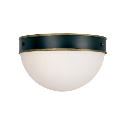 Capsule 12'' Outdoor Flush Mount
