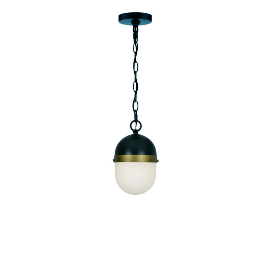 Capsule 12.25'' Outdoor Pendant