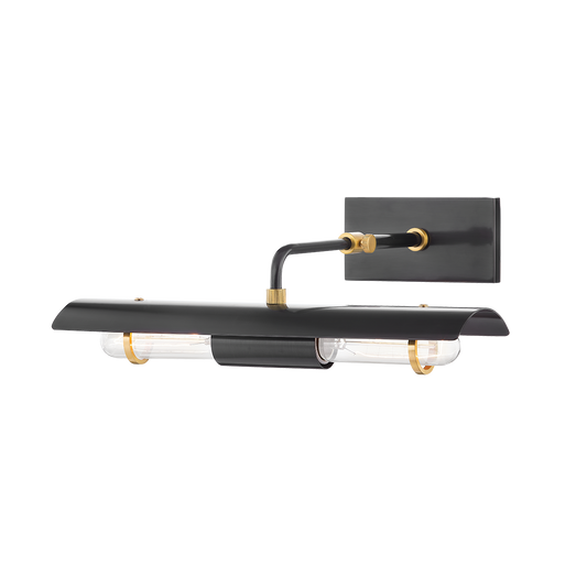 Raelynn Picture Light