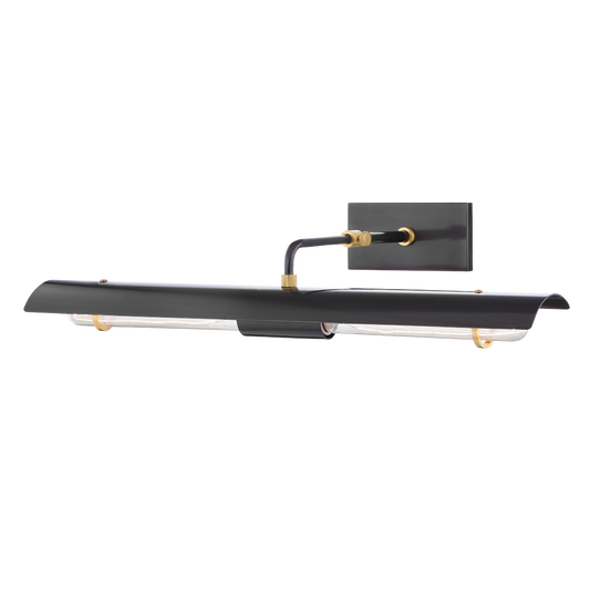 Raelynn Picture Light