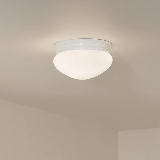 Flush Mount 1Lt