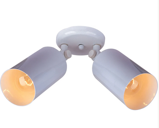 Spots 2-Light Can Wall/Flush Mount