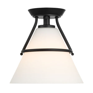 Meridian 1-Light Ceiling Light