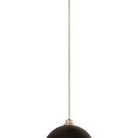Landry 14-in Pendant