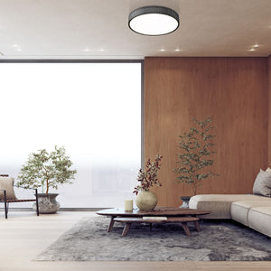 Madison 20-in Flush Mount