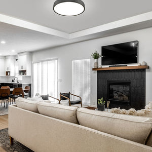 Madison 20-in Flush Mount