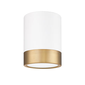 Algar 6-in Flush Mount