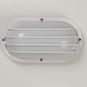 Bulwark 1-Light Outdoor Wall Sconce