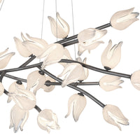 Belluno LED Chandelier