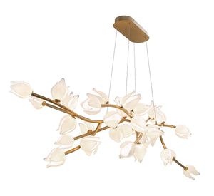 Belluno Oval LED Chandelier
