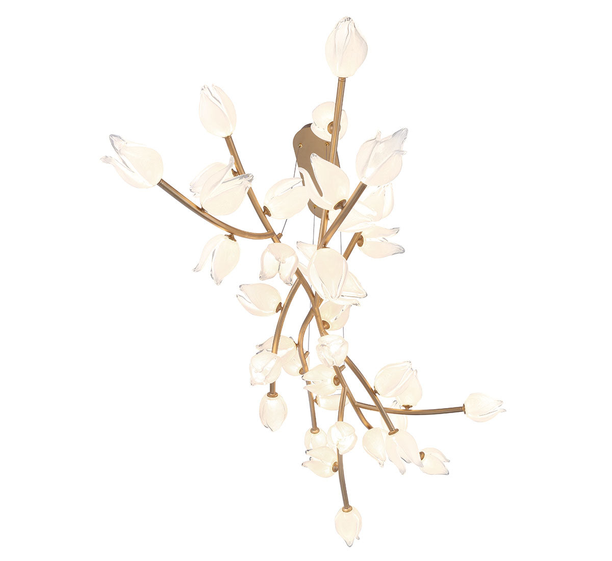 Belluno Oval LED Chandelier