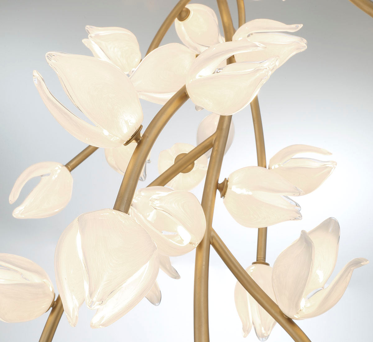 Belluno Oval LED Chandelier