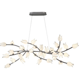 Belluno Oval LED Chandelier