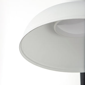 Industrial 1-Light Outdoor Wall Sconce