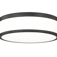 Ballord 12-in Flush Mount