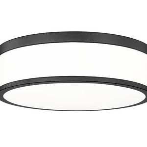Ballord 12-in Flush Mount