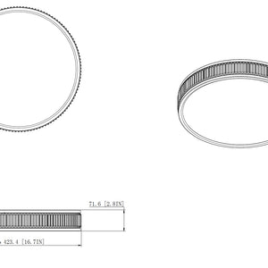 Stari 16-in Flush Mount
