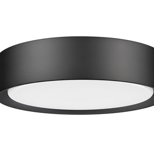 Kawan 12-in Flush Mount