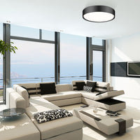 Kawan 20-in Flush Mount