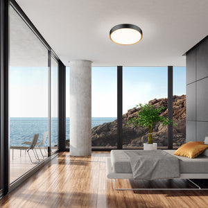 Kawan 20-in Flush Mount