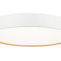 Kawan 20-in Flush Mount
