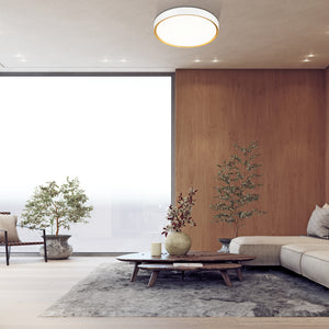 Kawan 20-in Flush Mount