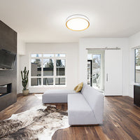 Kawan 20-in Flush Mount