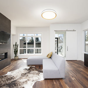 Kawan 20-in Flush Mount