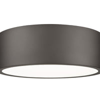 Coronado 12-in Flush Mount