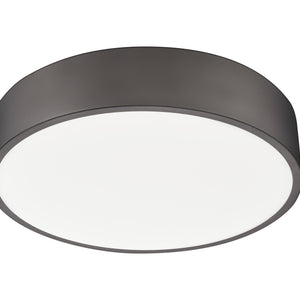 Coronado 20-in Flush Mount