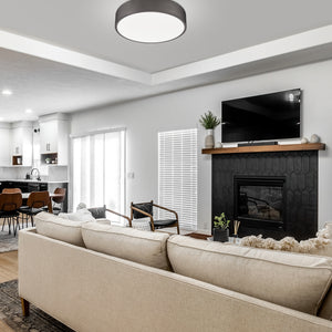 Coronado 20-in Flush Mount