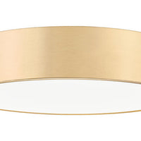 Coronado 20-in Flush Mount