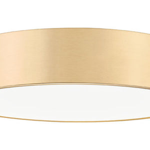 Coronado 20-in Flush Mount