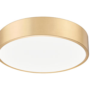 Coronado 20-in Flush Mount
