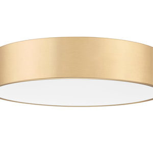 Coronado 20-in Flush Mount