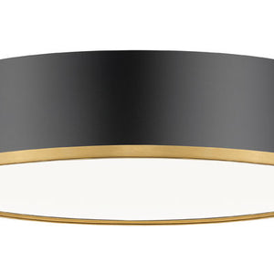 Bradley 20-in Flush Mount