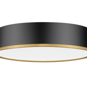 Bradley 20-in Flush Mount