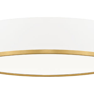 Bradley 20-in Flush Mount