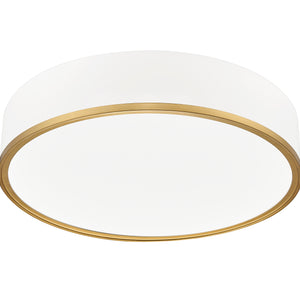 Bradley 20-in Flush Mount