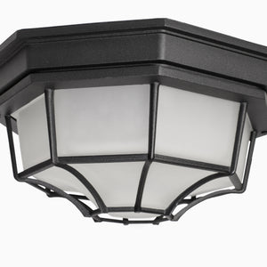 Crown Hill 2-Light Outdoor Ceiling Mount
