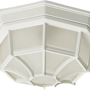 Crown Hill 2-Light Outdoor Ceiling Mount