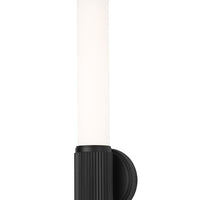 Solange 16-in Sconce
