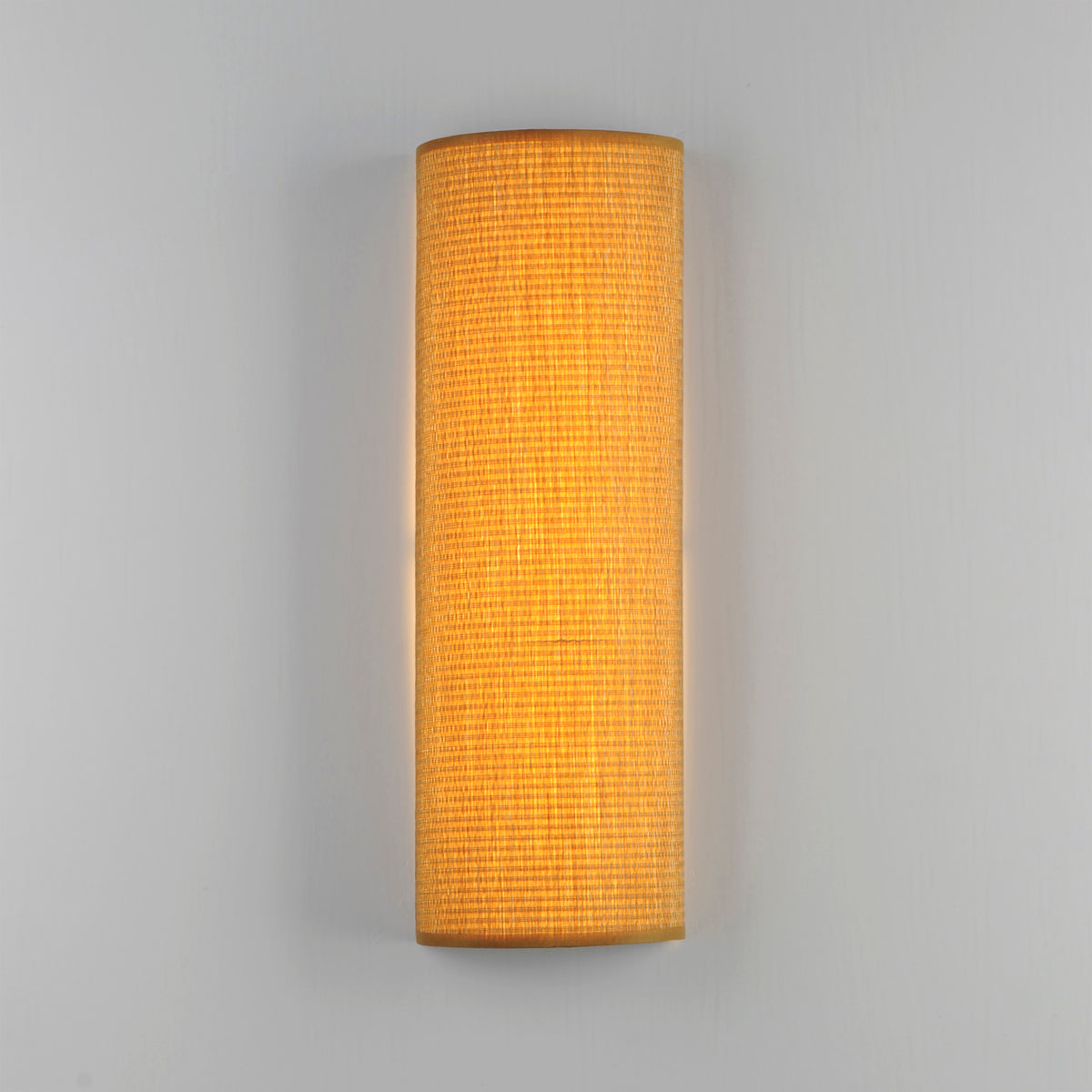 Prime 18" Tall LED Sconce