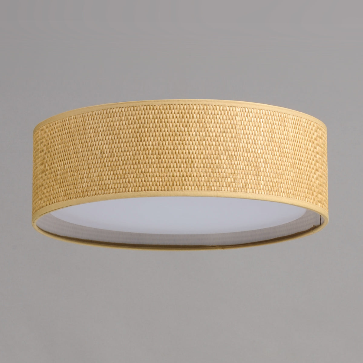 Prime 16" LED Flush Mount 120-277V